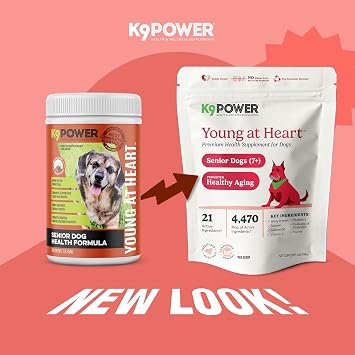 K9Power Young at Heart Senior Dog Supplement for Longevity & Vitality Supports Joints, Brain, Heart, Digestion, Skin & Energy Amino Acids, Vitamins, Minerals, CoQ10, Omega 3s, Turmeric