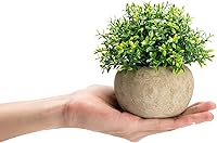 Vista 3 de Velener 2 mini plantas artificiales de boj de imitación para interiores, pequeñas plantas falsas para decoración de Magnolia para el hogar, oficina