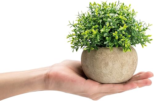 Miniatura 3 de Velener 2 mini plantas artificiales de boj de imitación para interiores, pequeñas plantas falsas para decoración de Magnolia para el hogar, oficina