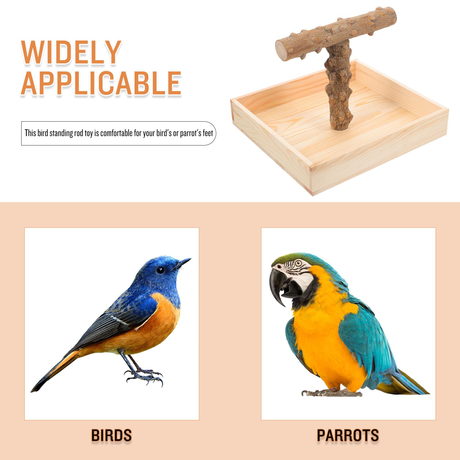 Toddmomy Perchoir pour Oiseaux Naturel Support pour Perroquets Et Oiseaux De Compagnie Accessoire De Et Entraînement