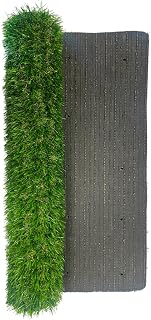 Césped artificial 2X5 EVERT Fresh 25 | 25mm Altura | Rollo césped artificial 10 metros cuadrados | Interior y exterior | Resistente y duradero
