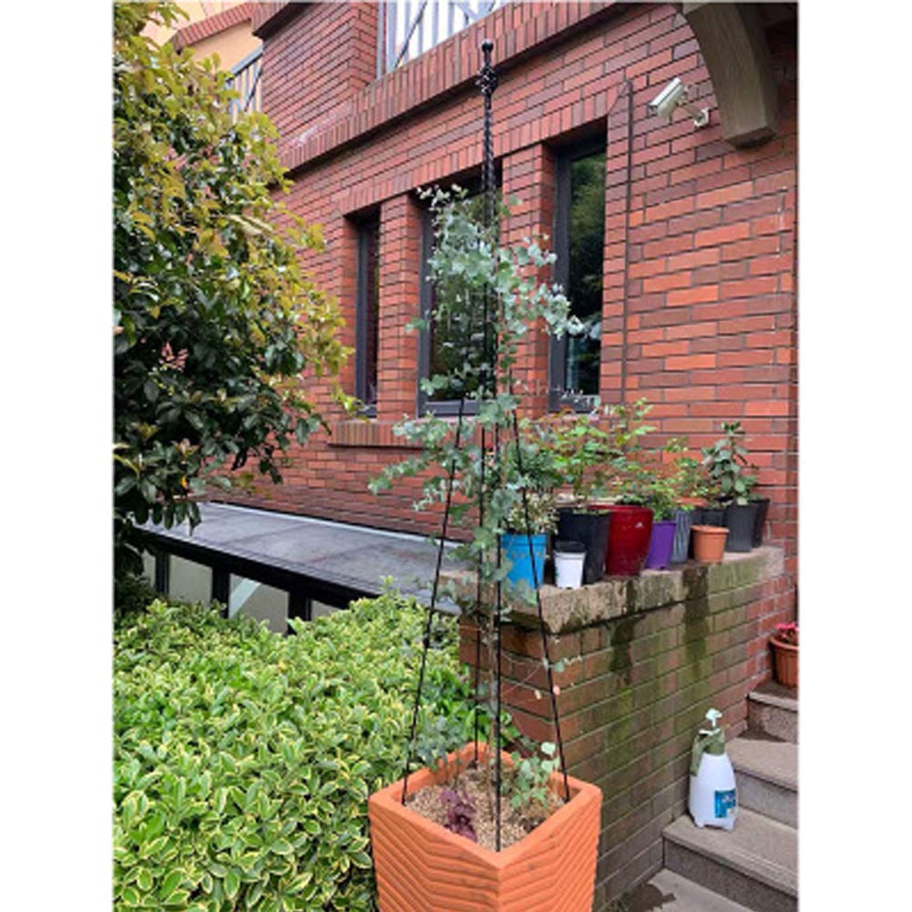 Garden Obelisk Trellis for Potted Climbing Plants Indoor and Outdoor,A Frame,Wrought Iron,Black