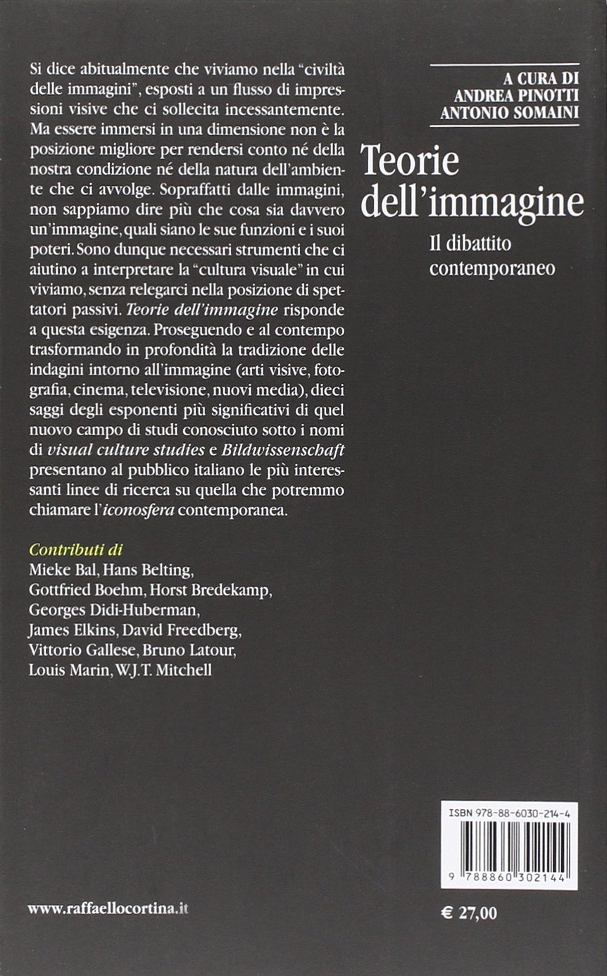 Teorie dell'immagine. Il dibattito contemporaneo
