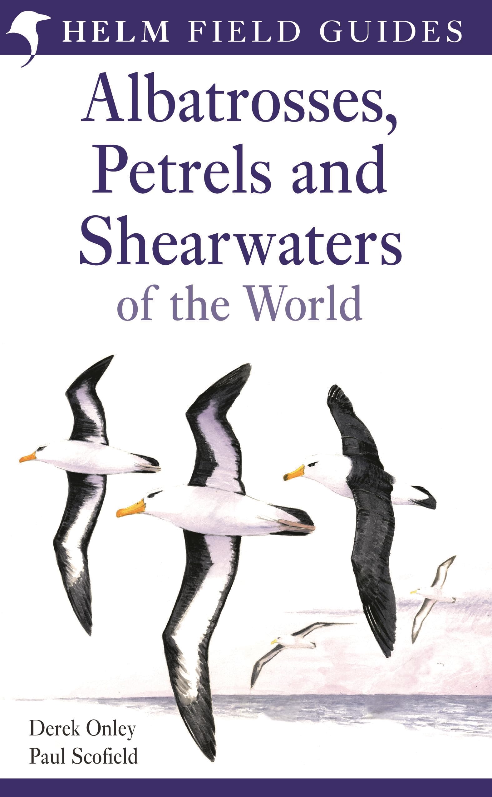 Buy Field Guide to Albatrosses, Petrels and Shearwaters of the World (Helm Field Guides) — BookShops.in