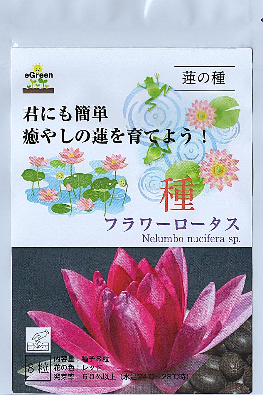 Amazon.co.jp: 水草の種 ミニハス フラワーロータス 種 8粒 君にも簡単