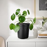 Vista 5 de RAOOKIF - Macetas de 1 galón para plantas, macetas de vivero flexibles de 1/2/3/5 galones con drenaje, macetas de plástico de 1 galón para plantas