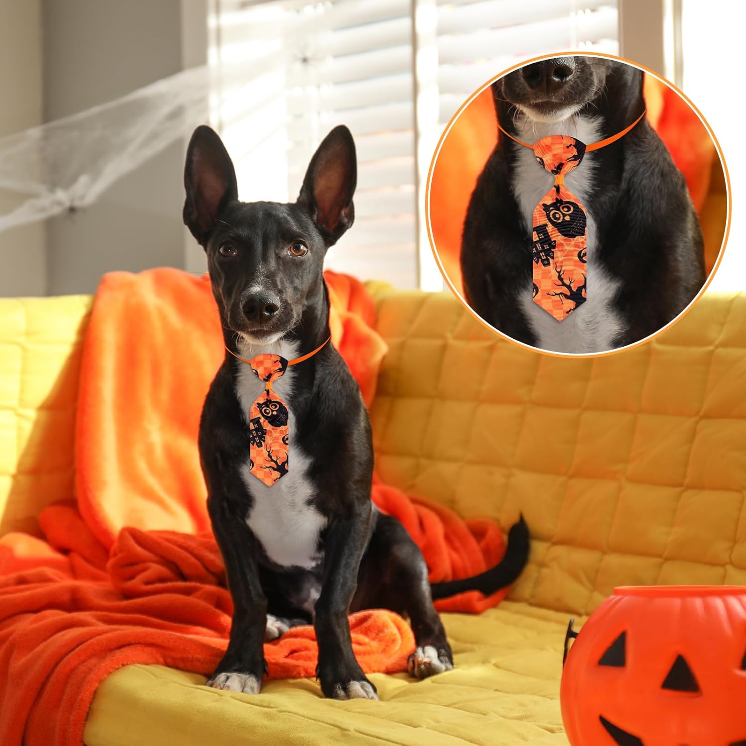 Frienda 32 Pcs Halloween Dog Bow Ties Adjustable Neckties Pumpkin Ghost