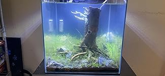 Review Image by Bear Bear Bear Bear