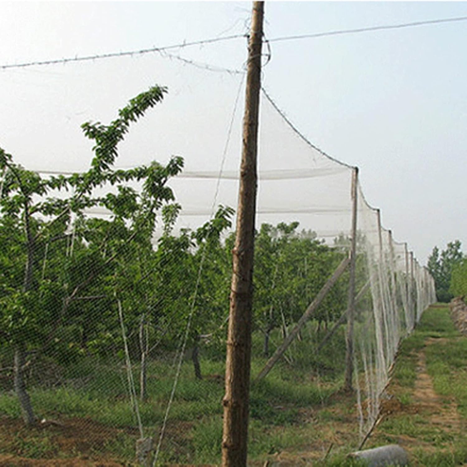 Plastic Chicken Wire Fence Mesh Anti Bird Netting, Nylon Garden Mesh with 1" Mesh for Protect Plants/Trees/Vegetables Against Birds & Deer Animals, Reusable Protection Net(7x5m/23x16.4ft)