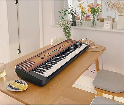 Multifunction Portable Electronic Piano 61-key Keyboard Piano With 384 Timbre For Beginner Keyboard Piano for Beginner (Color : 02)