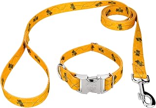 Country Brook Petz - Premium Busy Bee Dog Collar and Leash - Critter Corner Collection with 7 Creature Themed Designs (1 Inch, Large)