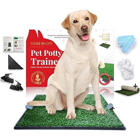 grass pee pad amazon