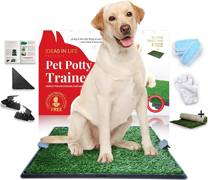 Deluxe Dog Grass Potty Pad with Tray Large Size 20" x 30