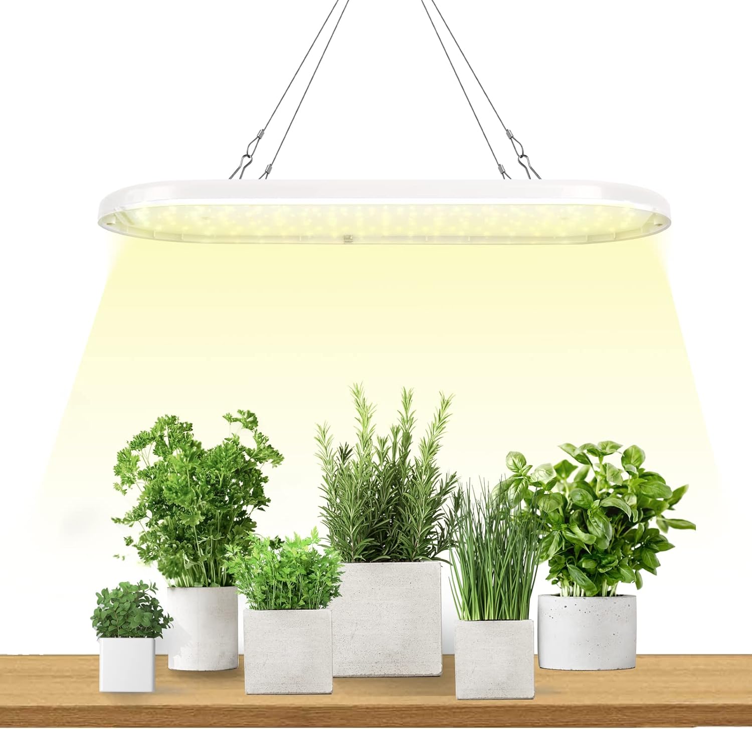 Plant Light for Indoor Plants,Led Grow Light for Indoor