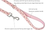 Nylon Dog Leash Fresh Flower Pattern with Soft Padding Handle,4 Ft Durable Leash for Puppy Medium and Large Dogs Walking and Trainning(Rose Pink)