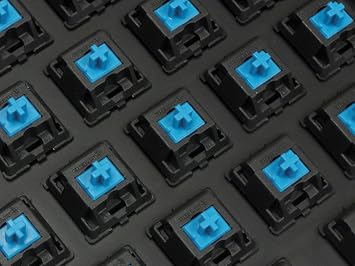 Filco Majestouch-2, Tenkeyless, MX Blue Click, USA Keyboard