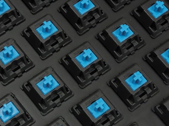 Filco Majestouch-2, Tenkeyless, MX Blue Click, USA Keyboard