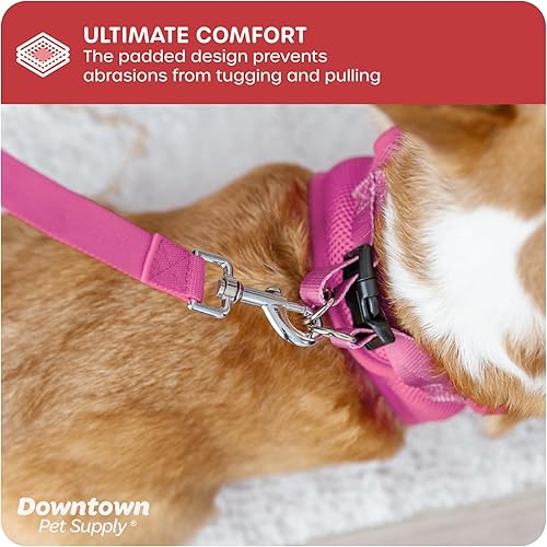 Miniatura 6 de Downtown Pet Supply - Arnés ajustable para perro con chaleco acolchado, sin tirones, fácil de poner, para perros pequeños, medianos y grandes