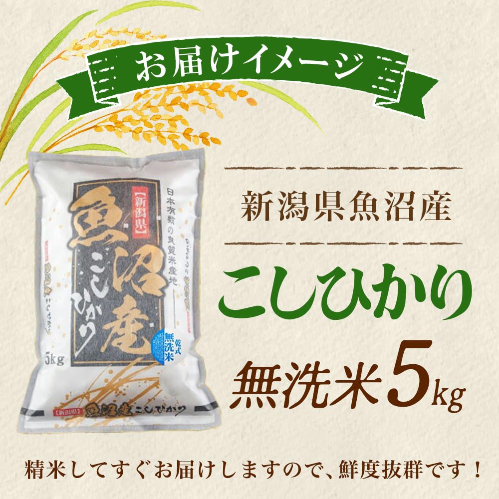 Amazon.co.jp: 令和7年産 魚沼産コシヒカリ 5kg 特A 無洗米 産地直送