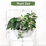 Fake Plants 11.8" Artificial Potted Plant Assorted Faux Plants in Pot Silk Plants Artificial Plants Indoor for Home Living Room Bedroom Bathroom Office Desk Table Centerpieces Shelf Greenery Decor