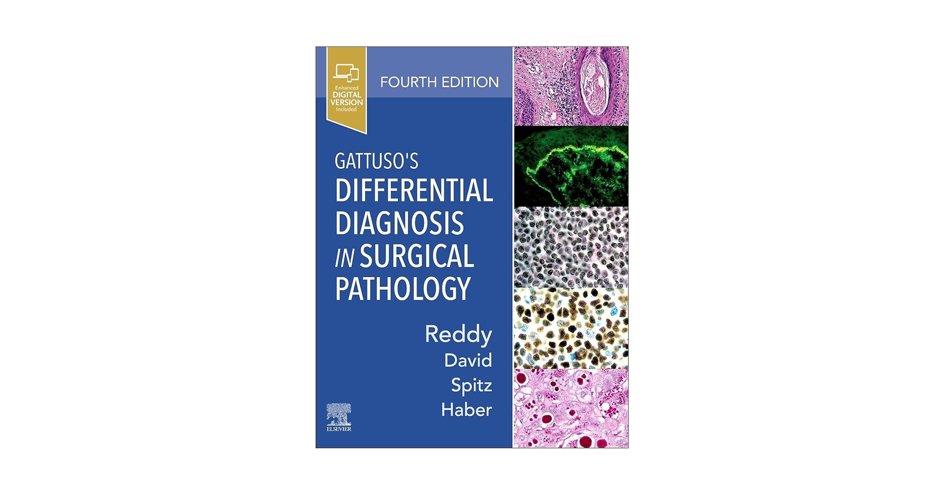 Gattuso's Differential Diagnosis in Surgical Pathology
