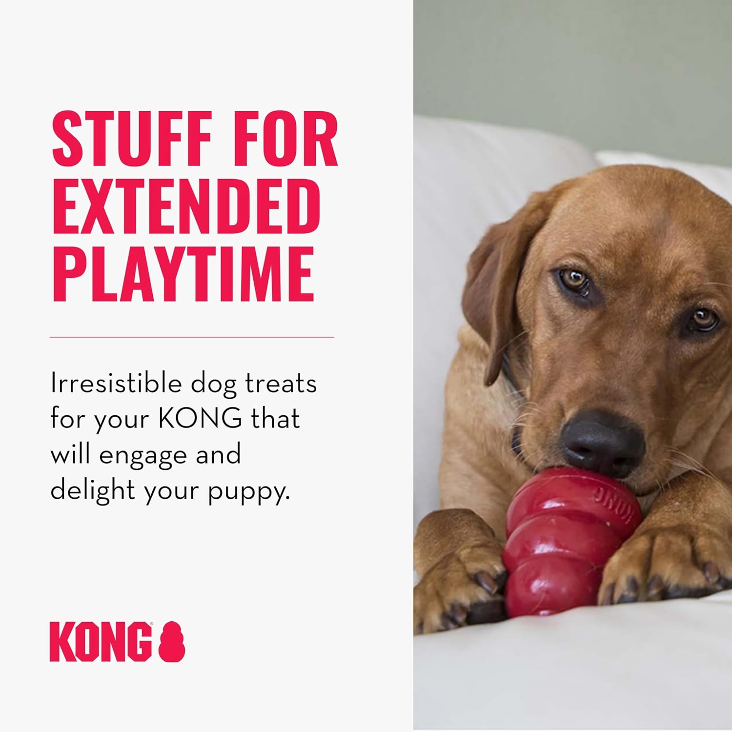 KONG Dog Treats Combo Pack - Includes Bacon/Cheese Snacks & Easy Treat Bacon/Cheese Spray - Toy Filler - for Training, Playtime & More - for Small/Medium Dogs