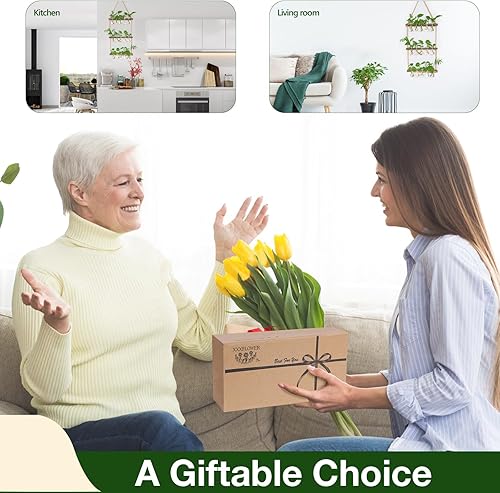 Vista 7 de XXXFLOWER Estación de Propagación Colgante de Pared con Soporte de Madera Florero de 5 Bulbos 3 Niveles Jardineras Terrario de Pared para Casa