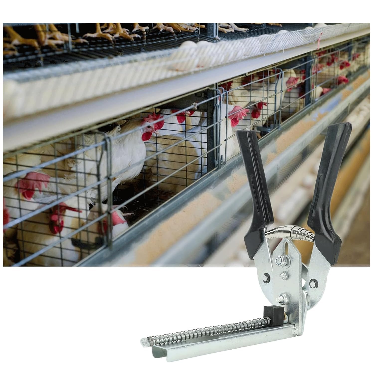 Pinze di fissaggio per cavi,dotato di 600 anelli zincati, Pinze per recinzione, Pinza per recinzione con clip, Pinza per gabbia a rete, adatto per la realizzazione di recinzioni e mobili (Nero)