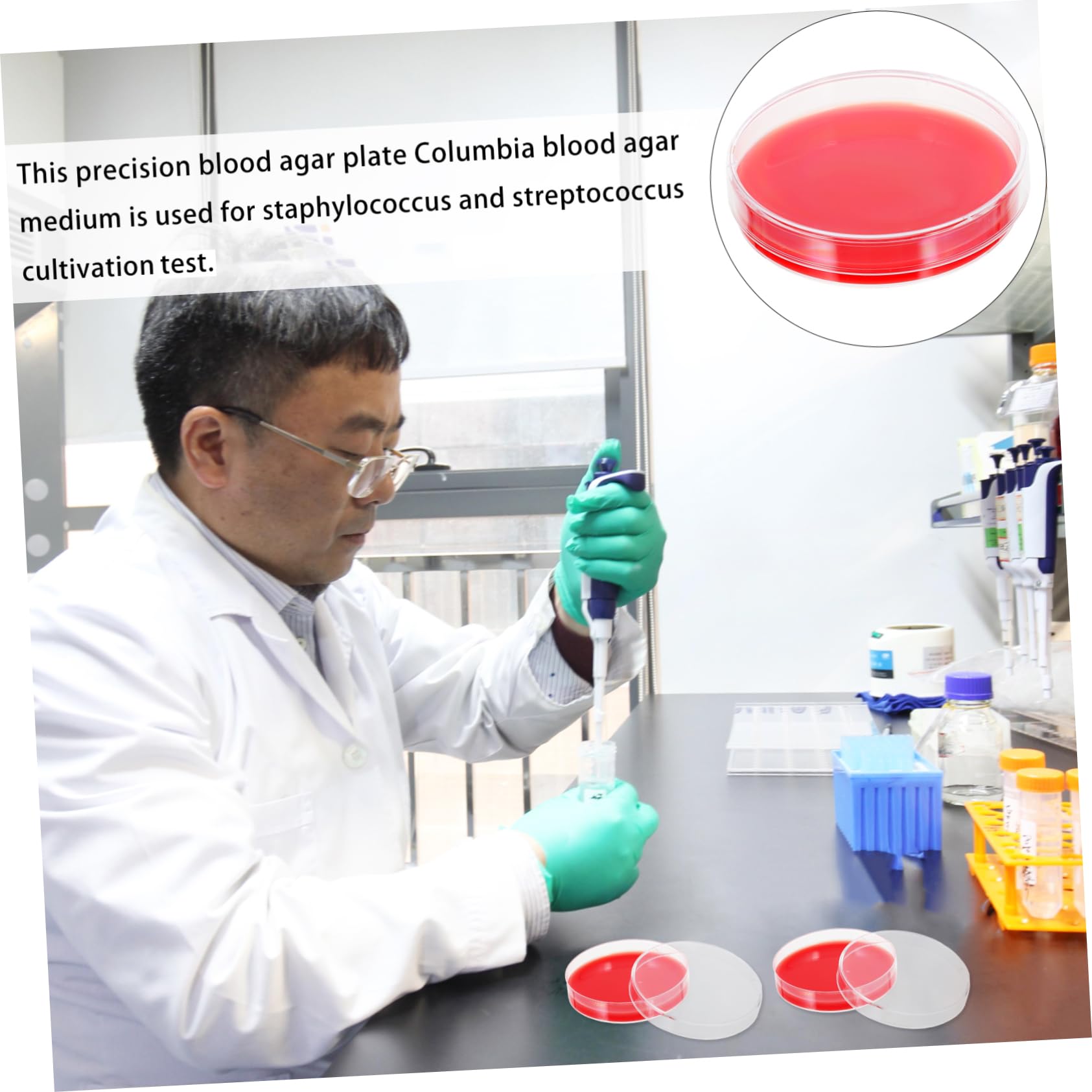 ULTECHNOVO 20pièces Plaques De Pétri Agar De Milieu De Culture Pour Laboratoire Résistantes Aux Chocs Et Faciles à Utiliser Idéales Pour Institutions Médicales Et Scientifiques