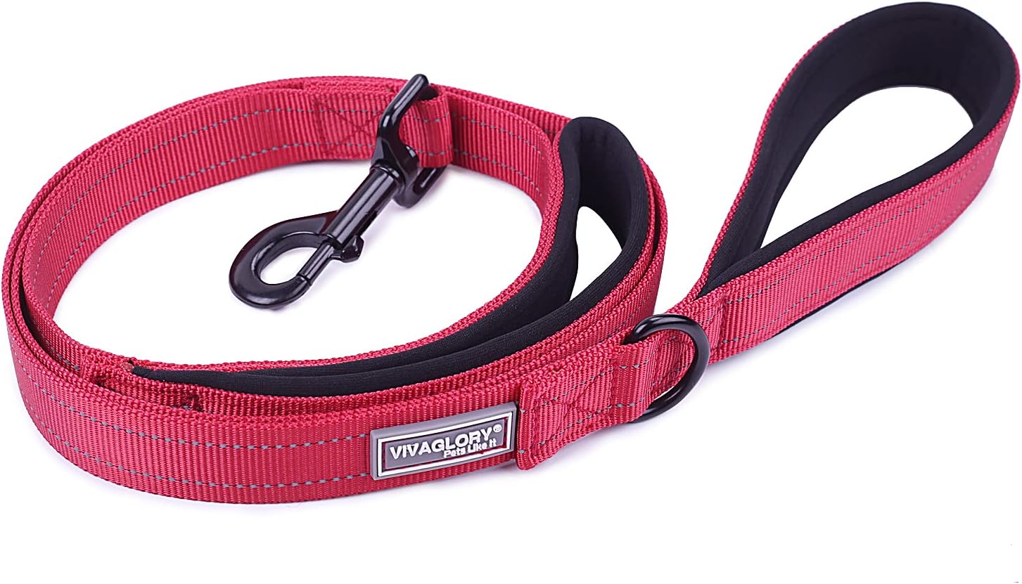 VIVAGLORY Dog Lead Twingrip Double Handle Dog Lead, Leash with Traffic Handle & 2 Loop for Walking & Training - Image 5