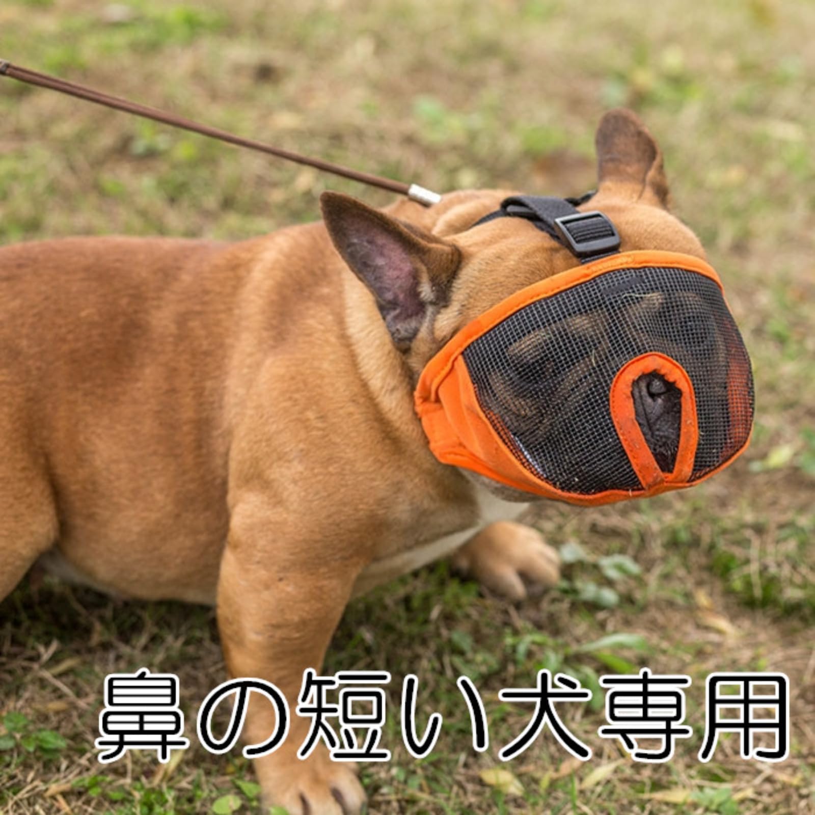 Amazon | [FRENCH FRENCH] フレンチブルドック マスク 口輪 マズル 鼻