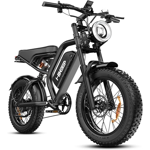 Electric Bike for Adults - 20 x 4 Inch Fat Tire, 750W/Peak 1500W Motor, 48V15AH Detachable Battery, 4 Riding Modes Electric Dirt Bike, 7 Speed Electric Motorcycle, 28MPH UL 2849 Certified