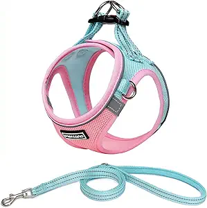 Mercano Soft Mesh Dog Harness and Leash Set, No-Chock Step-in Reflective Breathable Lightweight Easy Walk Vest Harnesses with Safety Buckle for Small Dogs, Cats (S, Pink Blue)