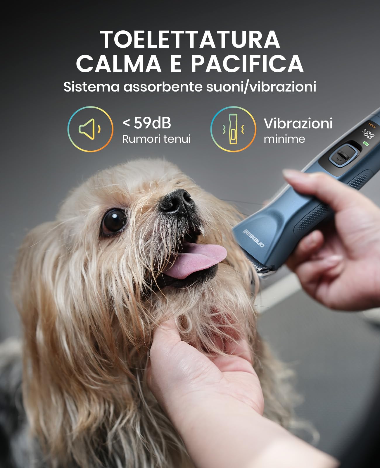oneisall Tosatrice per Cani pelo lungo professionale, Tosatore Rasoio, 2 Livelli da Tosatrici Elettriche per cani/Gatti, Con batteria rimovibile e pettine in acciaio carbonizzato