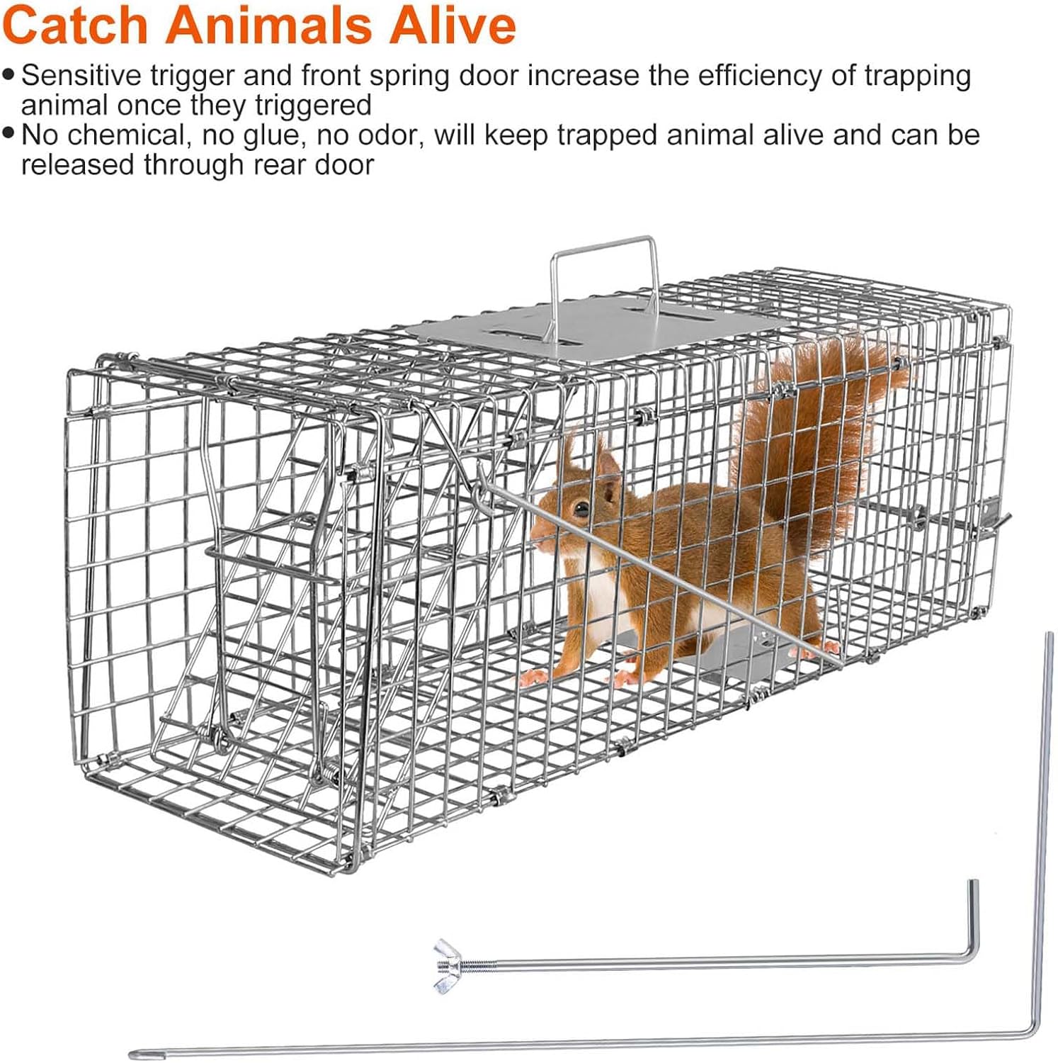 Humane Live Animal Cage Trap, 23.3x7.2x7.7 Inch Collapsible Live Animal Cage Trap Rabbits, Stray Cats, Raccoon, Mole, Squirrels Outdoor Small Animal Trap, Humane Catch & Release