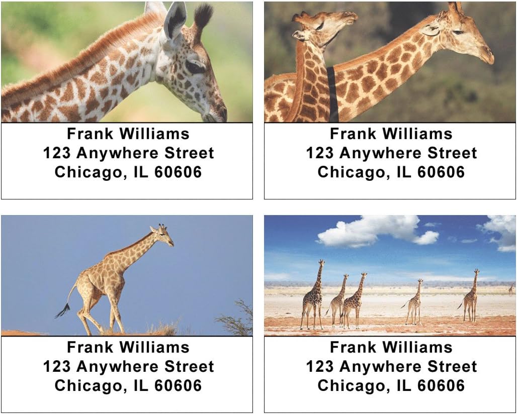 Giraffes Address Labels