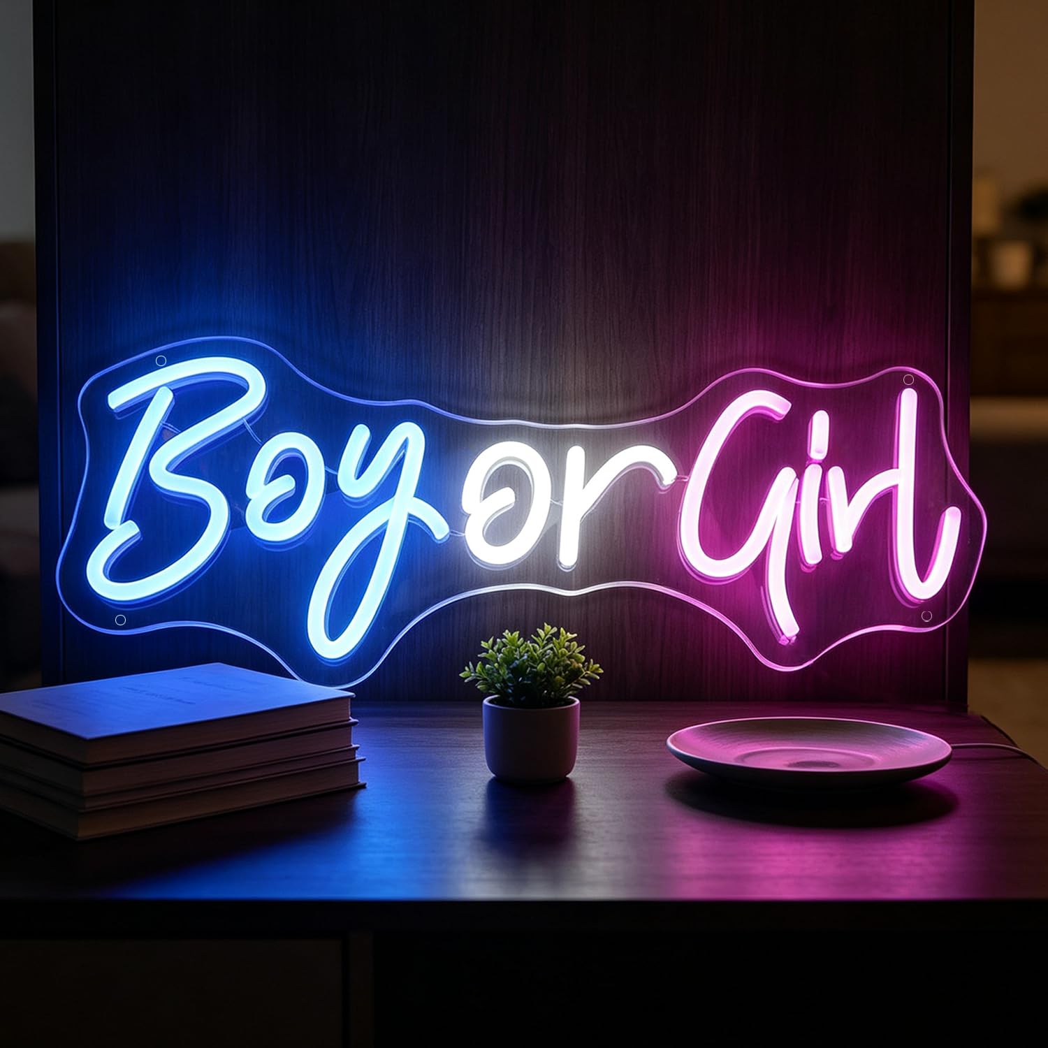 Boy or Girl Neon Sign LED Neon Blue Pink Letters Sign Light Up for Wall Decor, Dimmable USB Powered Neon Light for Pregnancy Announcement Baby Shower Yard Gender Reveal Party Decorations 16.49”x6.88” — image 1