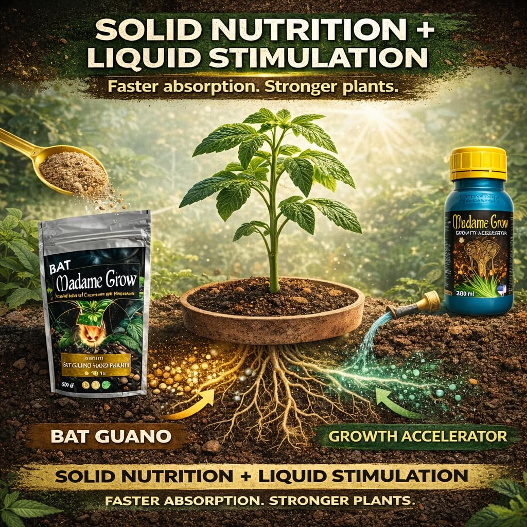MADAME GROW Boost Kit Wachstumsbeschleuniger 500 ml + Fledermausguano 500 g, Pflanzenwurzel- und Blühdünger, Pflanzendünger, Wachstum und Stimulator, bereichert Substrat