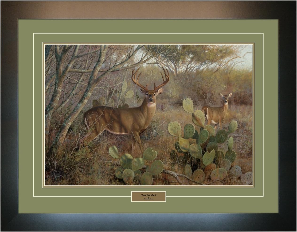 "Lone Star Buck" Framed Art