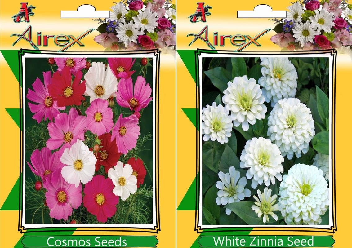 AirexCosmos Mixed and White Zinnia (Summer) Flower Seed (Pack Of 25 Seed * 2 Per Packet)