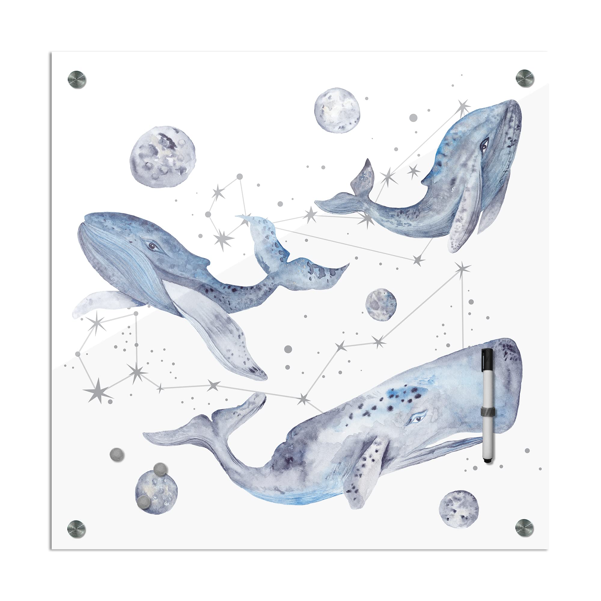 Tableau mémo 40 x 40 cm | Motif enfant | Aquarelle – Baleine | Tableau magnétique en verre lavable avec support magnétique | dans différents designs pour filles & garçons – Chambre d'enfant | 1330b