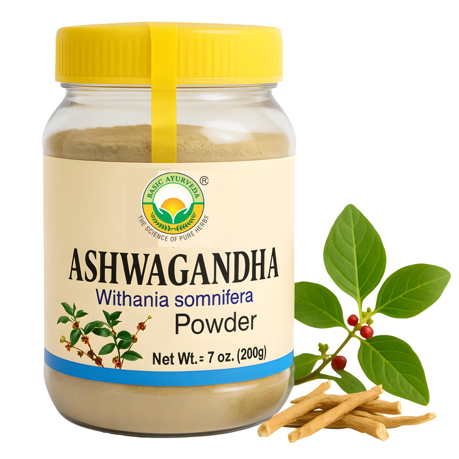 BASIC AYURVEDA