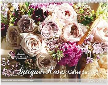 71DPnHVJd6L._AC_UF350,