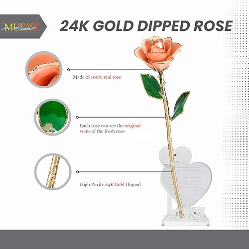 Miniatura 4 de Regalo de San Valentín para esposa, rosas reales, el mejor regalo para mujeres, rosa bañada en oro, regalo para hija (rosa rosa con soporte)