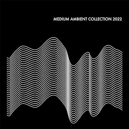 Medium Ambient Collection 2022 Black / Various por Various Artists — capa do álbum