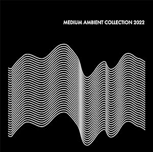 Medium Ambient Collection 2022 Black / Various