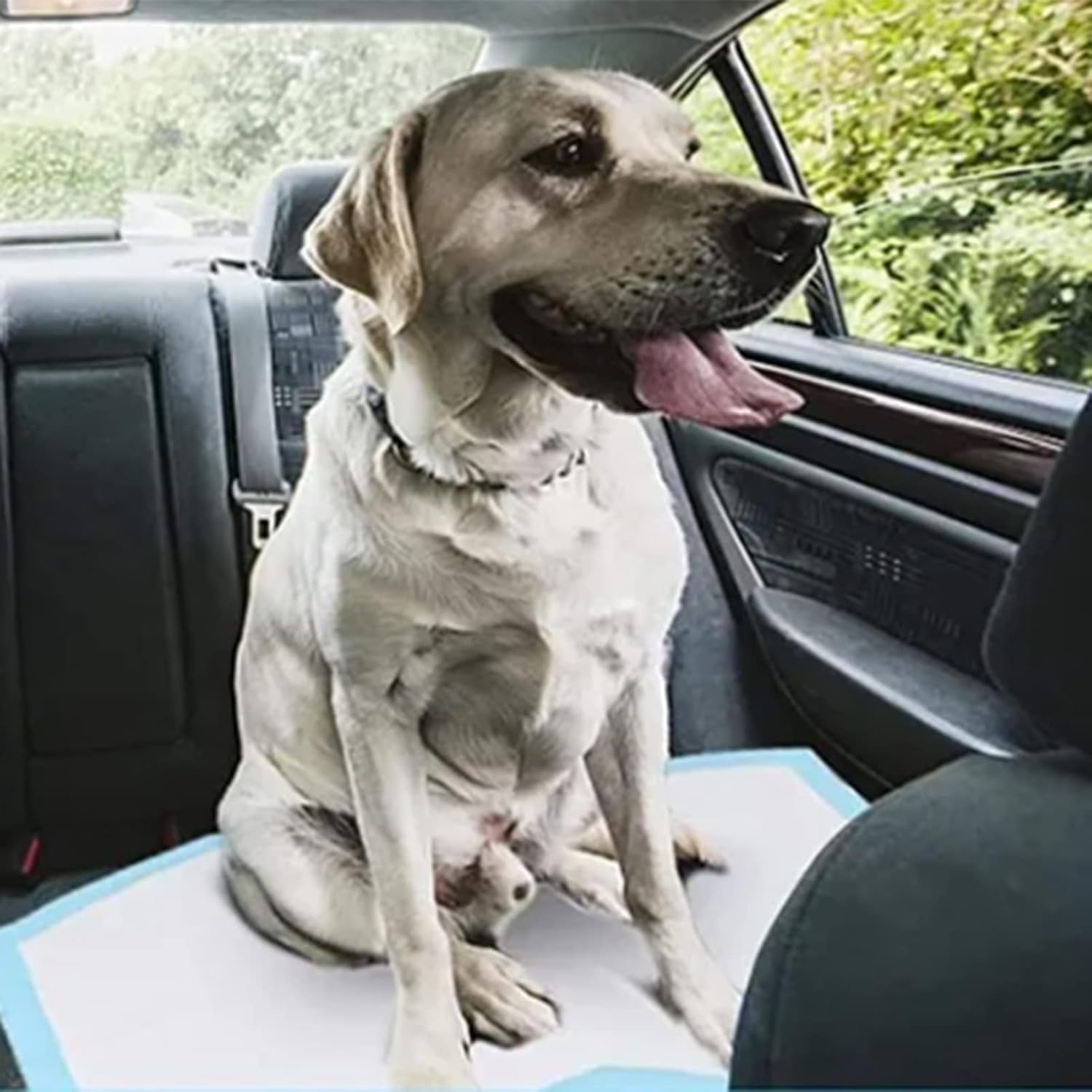 Pet Pee Pad, 50pcs Leakage Proof Fast Absorbent, 23.6x17.7in Thickened Non Woven Pet Training Pads for Dog Cat Indoor Car
