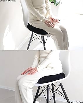 クッション・座布団 D.R Amazon.co.jp: LIworld Dr. Seat GX 低反発クッション 腰 椅子