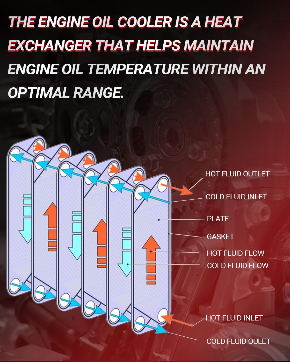 11428585235 Oil Cooler Filter Housing Assembly Compatible with Mini Cooper Clubman 2016-2019, Countryman 1.5L L3 2017-2019, X1 2.0L L4 2018-2019 Direct Replacement OE Number 11-42-8-585-235