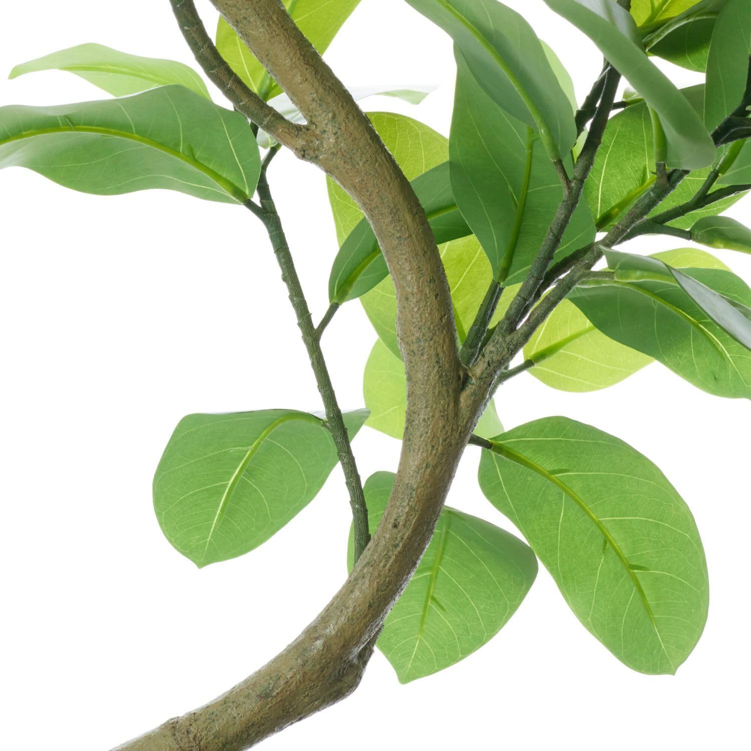 Amazon｜ツイストアルテシマ キューブ H200cm 観葉植物 フェイク 